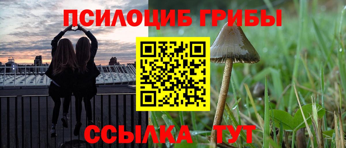 Галлюциногенные грибы прущие грибы Прокопьевск
