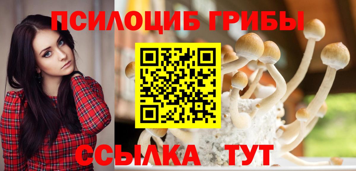Галлюциногенные грибы мицелий  Вход с VPN  Галлюциногенные грибы GOLDEN TEACHER  Прокопьевск 